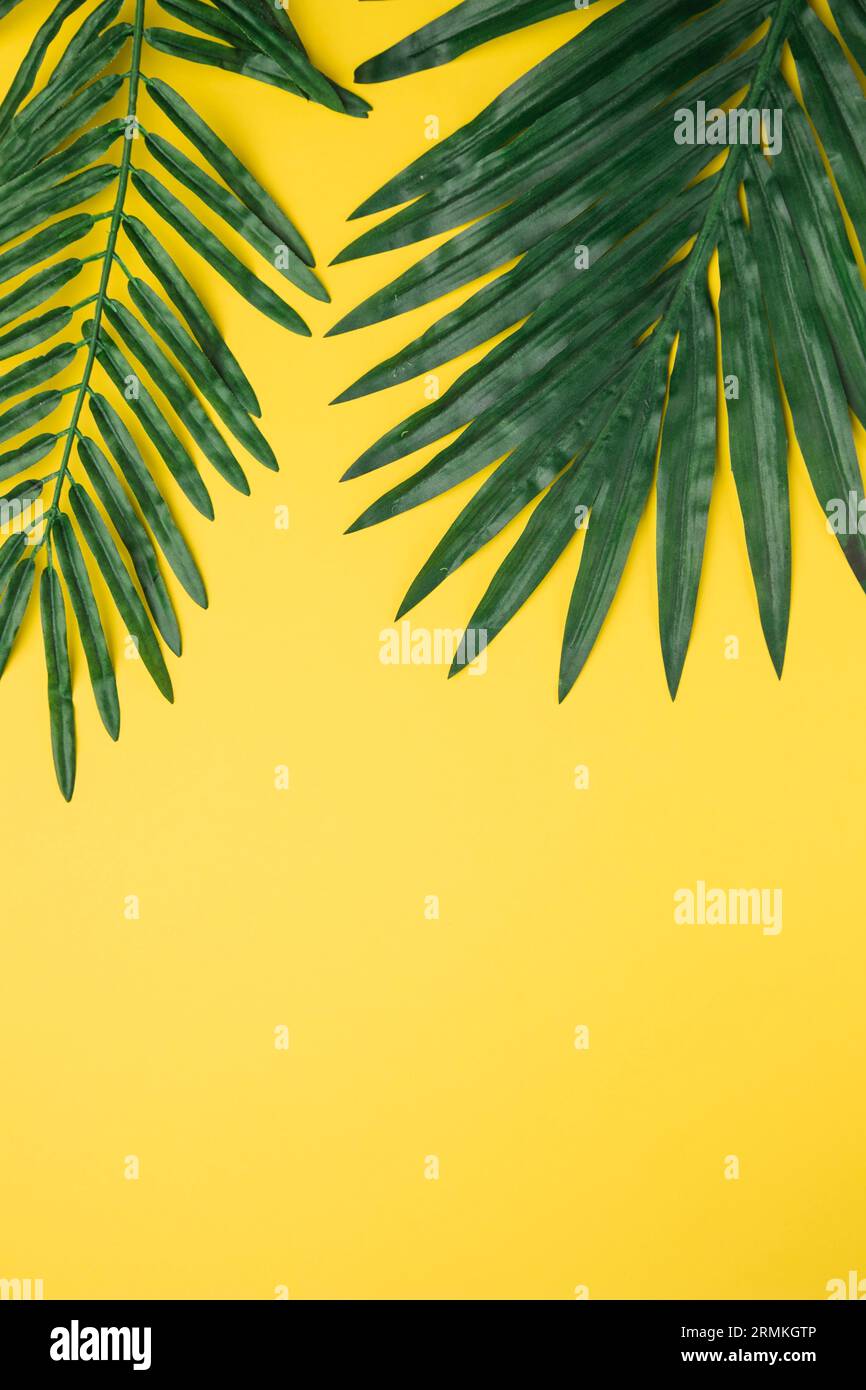 Grande verde foglie sfondo giallo Foto Stock