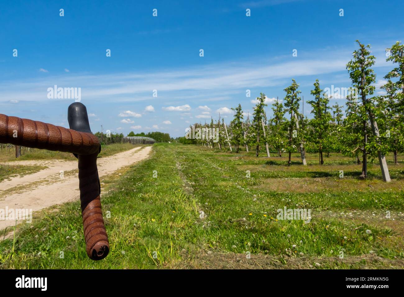 L'impugnatura inferiore del manubrio di una bici ghiaia sullo sfondo di una strada sterrata e sabbiosa. ottima vista sul balsamo e sul cambio. Foto scattata o Foto Stock