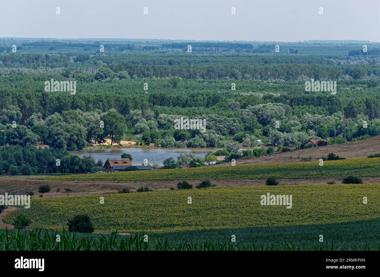 Paesaggio sul ramo di San Giorgio, il braccio meridionale del Danubio nel Delta del Danubio. Tulcea, Romania, Europa sudorientale Foto Stock