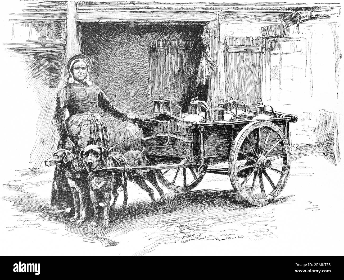 Bruxelles, damigella, donna, vendita, commercio, economy, carrello per cani, due cani, pull, cart, lattine di latte, ruote di legno, grembiule, copricapo, capitale, Belgio Foto Stock