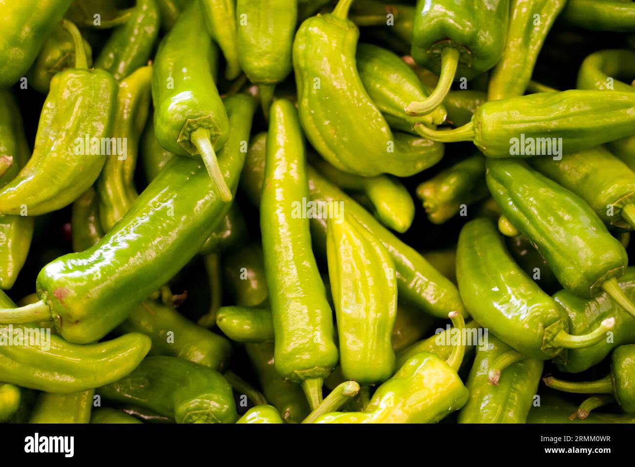 Primo piano del peperoncino verde. Verdure fresche di fondo. Peperoni peperoncini. Foto Stock