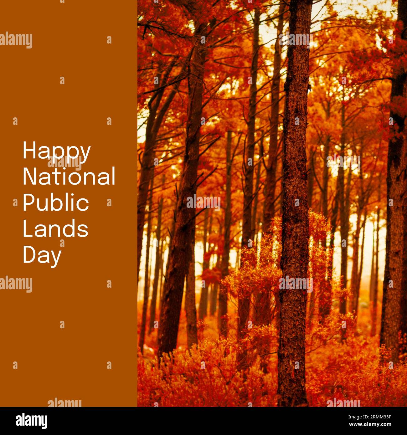 Composito di felice testo del giorno delle terre pubbliche nazionali sugli alberi autunnali nel parco Foto Stock