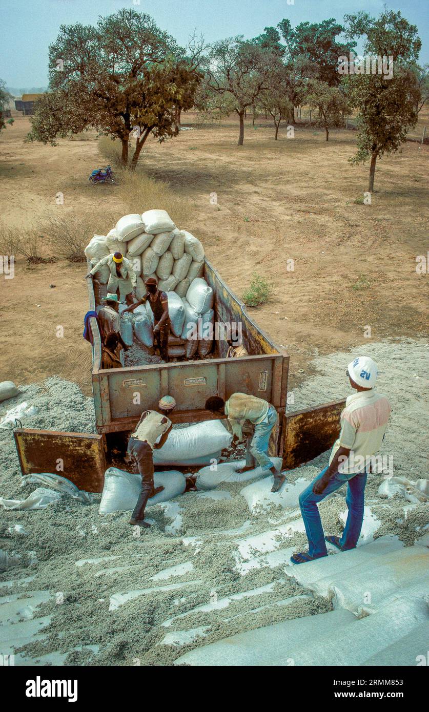 Mali. Uomini che caricano camion con raccolto di cotone. Foto Stock