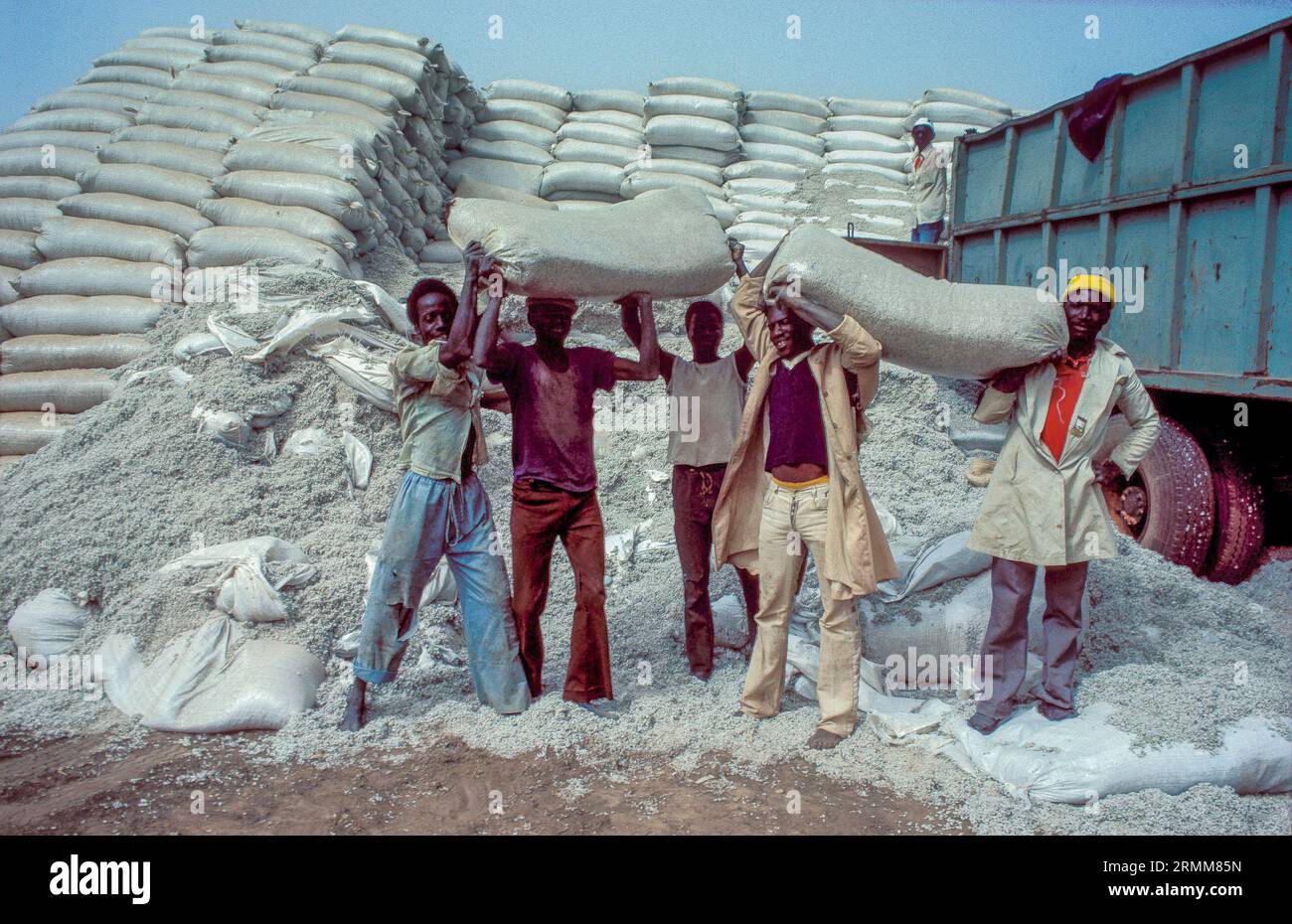 Mali. Uomini che caricano camion con raccolto di cotone. Foto Stock