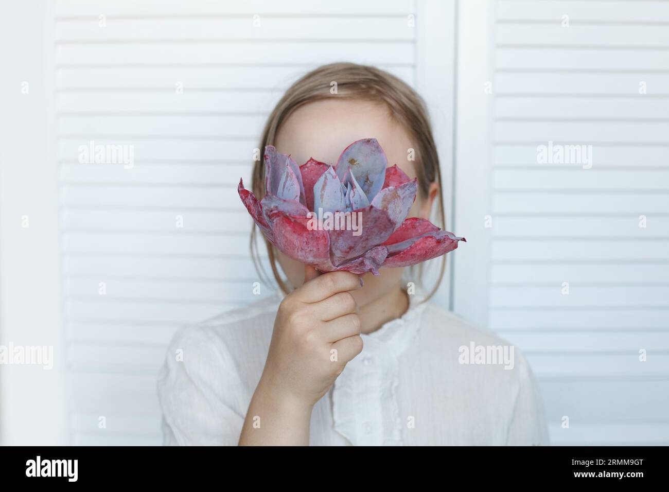 La giovane ragazza ha nascosto il suo volto dietro un fiore rosa su sfondo bianco Foto Stock