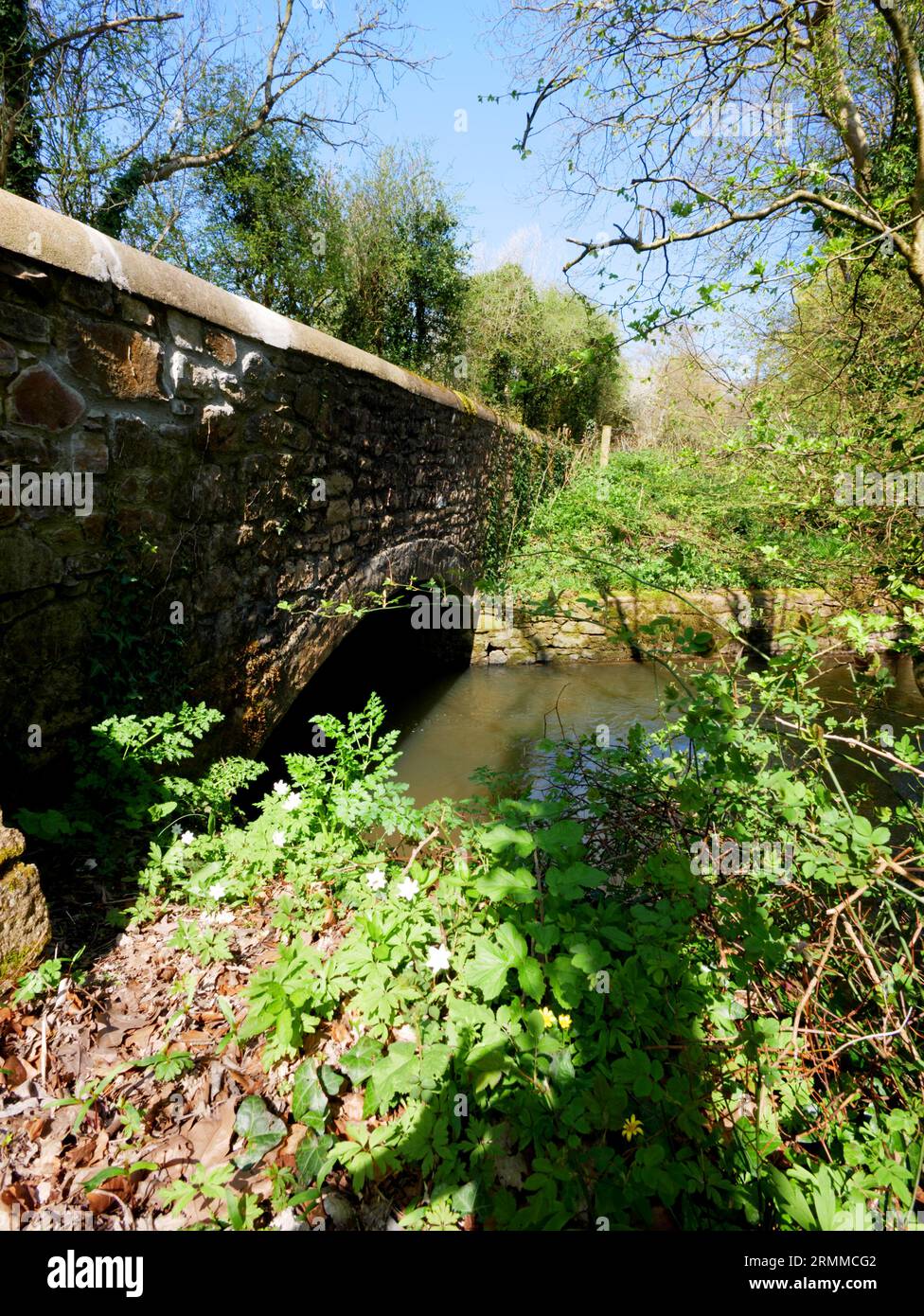 Ponte Dowrich, Crediton, Devon. Foto Stock