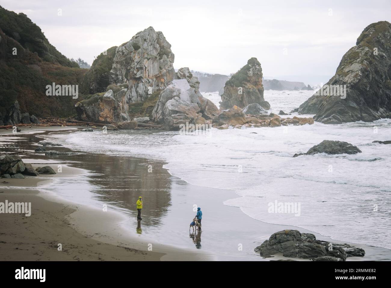 Samuel H Boardman Scenic Corridor - Brookings, Oregon Foto Stock