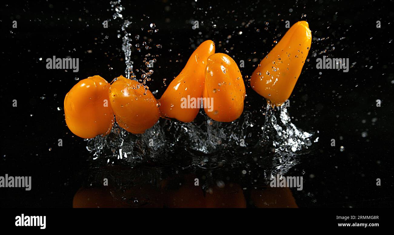 Peperoni dolci gialli, capsicum annuum, verdure che cadono sull'acqua su fondo nero, Foto Stock