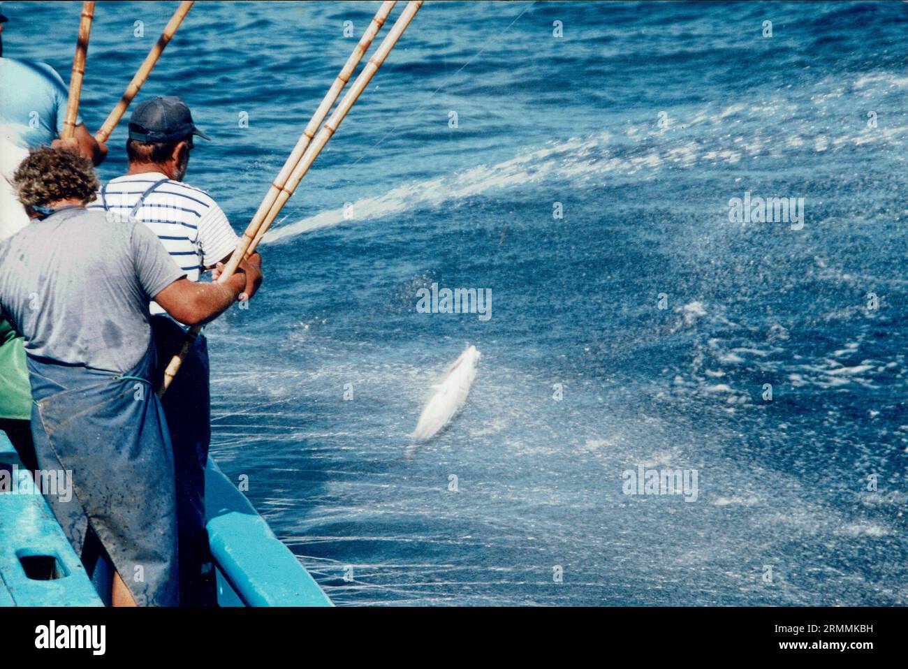 Pesca del tonno con lenze e canne nelle isole Azzorre, Portogallo Foto Stock