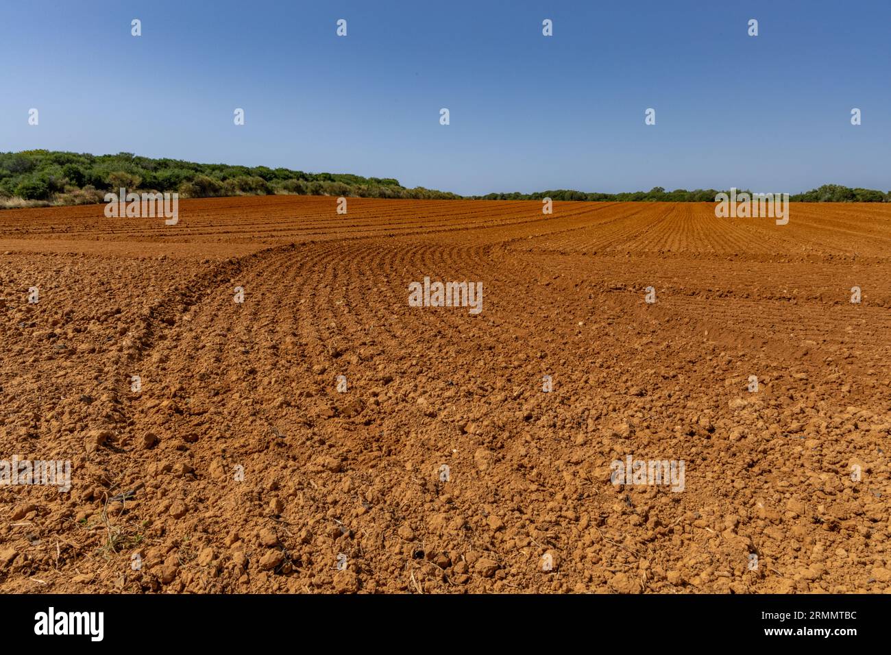 Agricoltura in Croazia terreno fertile siccità nessuna pioggia alte temperature in Croazia Foto Stock