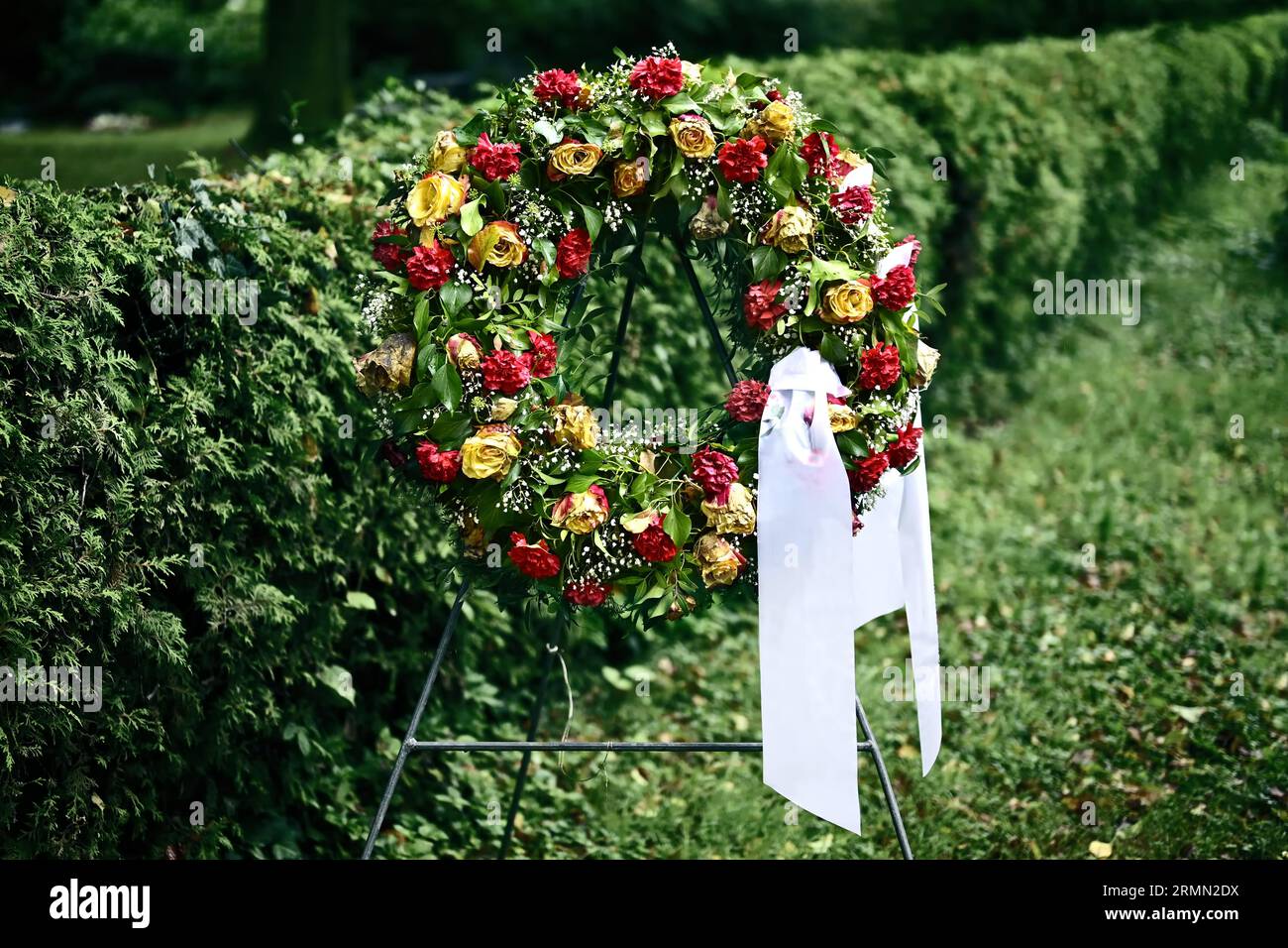 Corona di rose funerarie accanto a una siepe. Foto Stock