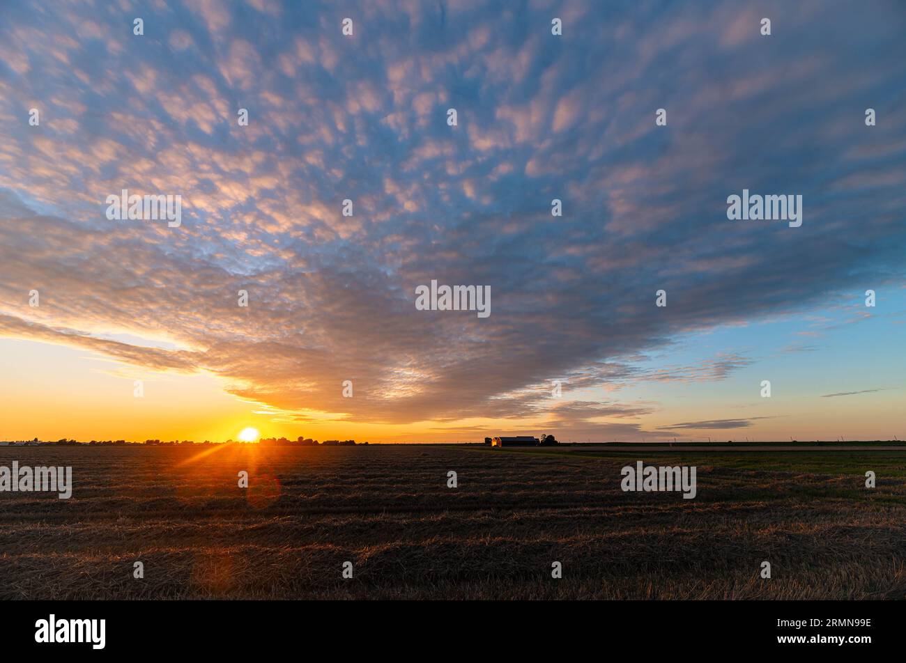 Nuvole di pecore colorate al tramonto Foto Stock