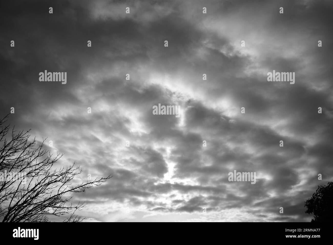 Alberi e cielo con nuvole in bianco e nero sparati in una nuvolosa mattinata fredda in un piccolo villaggio della Grecia. Foto Stock