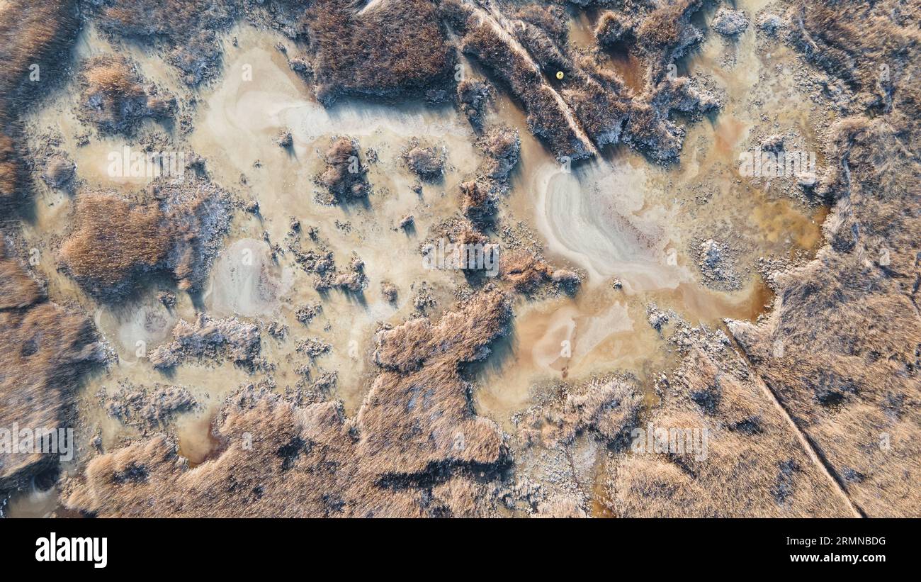 Vista dall'alto del lago di acqua ghiacciata nelle canne. Colori pastello. Schemi astratti e speciali. Paesaggio invernale. Foto Stock