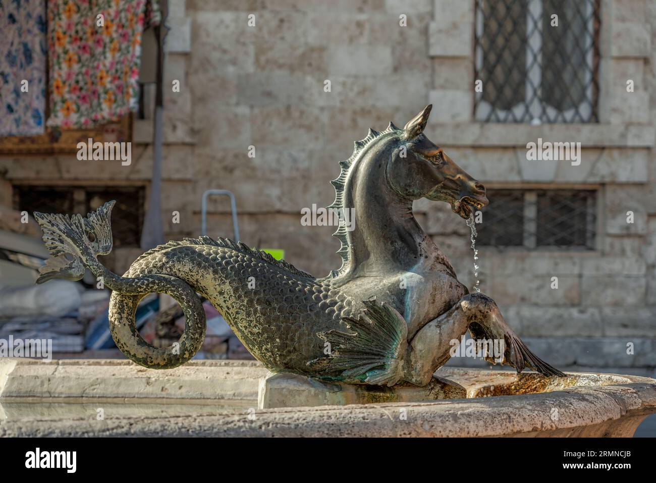 Al centro di Piazza Arringo le due fontane ellittiche con sculture in bronzo di Giorgio Paci raffiguranti cavalli con code di tritone. Ascoli Piceno Foto Stock