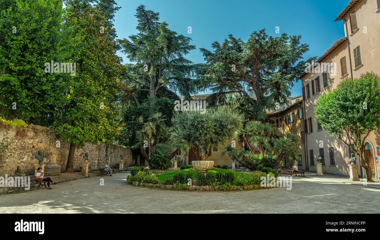 Il cortile interno del comune di Ascoli Piceno. Al centro l'olivo della varietà oliva tenera ascolana. Ascoli Piceno, Marche Foto Stock
