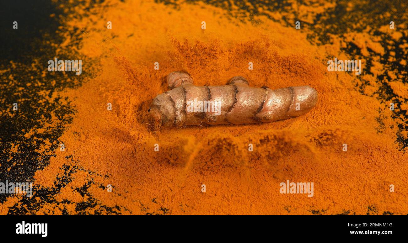 Curcuma, curcuma longa, Root Falling on Curcuma Powder, Indian Spice Foto Stock