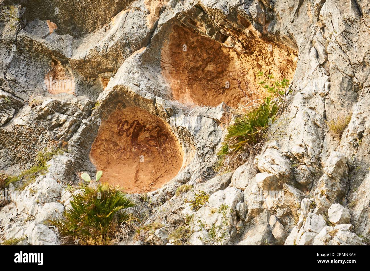 PLA de Petracos dipinti rupestri con figure antropomorfe di arte rupestre macro schematica levantina (Castell de Castells, Marina alta, Alicante, Spagna) Foto Stock