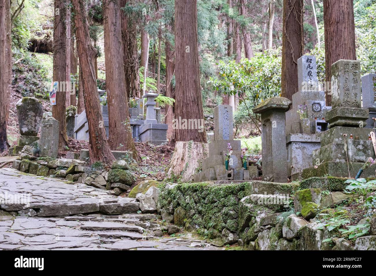 Giappone, Prefettura di Oita. Tombe lungo il sentiero per l'area sacra che circonda il Tempio buddista Rakanji. Foto Stock