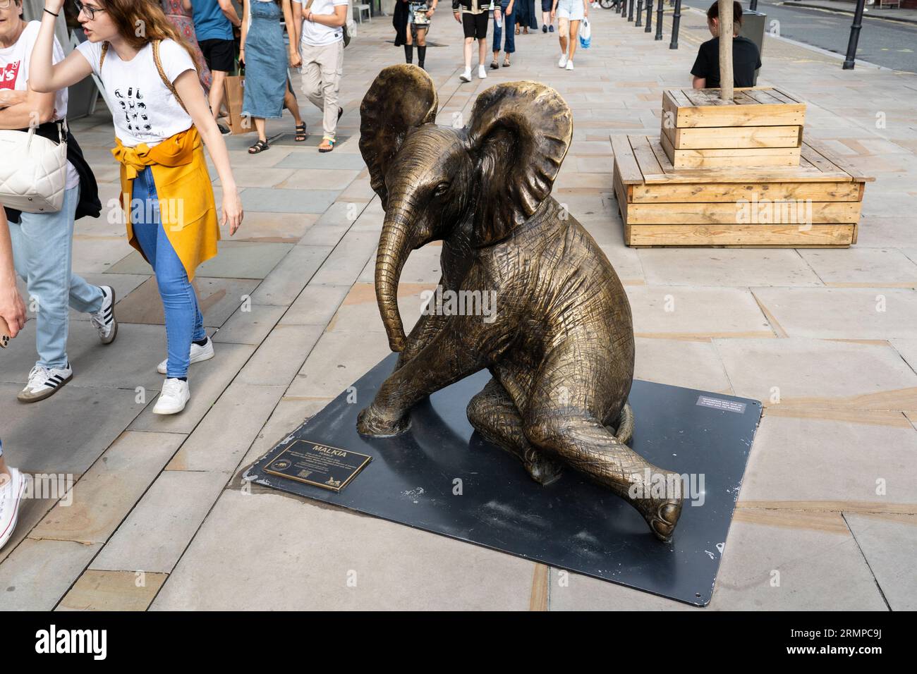 Una scultura in bronzo di una bambina orfana di elefante chiamata Malkia salvata dallo Sheldrick Wildlife Trust. Brushfeld Street, Londra, Regno Unito Foto Stock