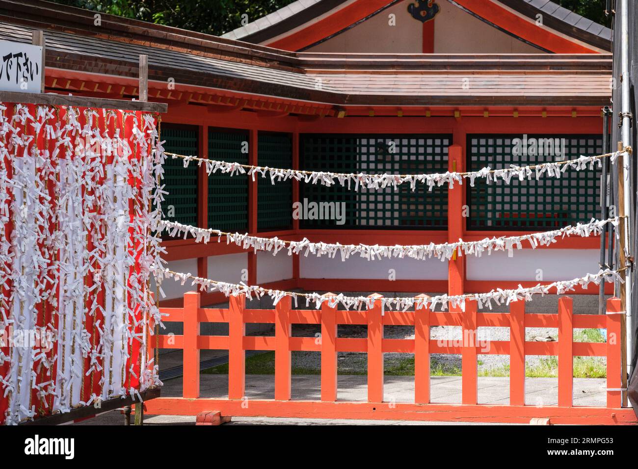 Giappone, Kyushu. USA Jingu Shinto Shrine. Omikuji: Cattive fortune lasciate al Santuario per le divinità a fornire protezione, ritardando il loro verificarsi. Foto Stock