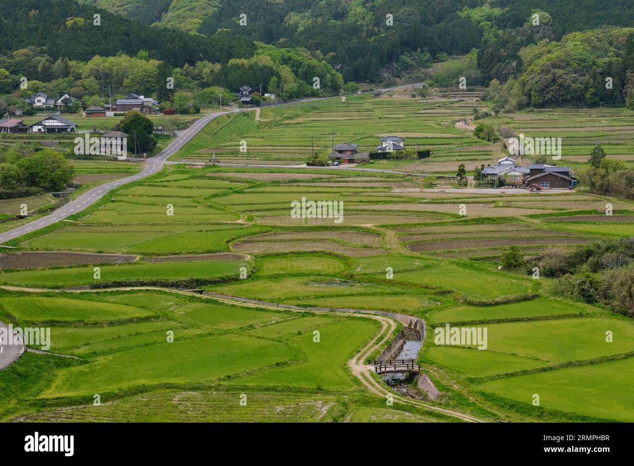 Giappone, Kyushu. Vista della campagna dal villaggio di Tashibu-no-sho, dalla penisola di Kunisaki e dalla prefettura di Oita. Risaie non ancora piantate. Foto Stock