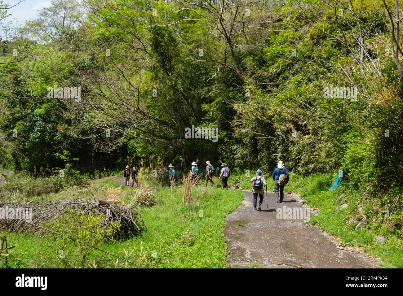 Giappone, Kyushu, escursionisti in viaggio verso le rovine del castello di Oka. Prefettura di Oita. Foto Stock