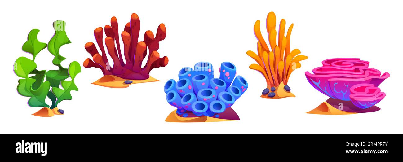 Set di cartoni animati di alghe isolate su sfondo bianco. Illustrazione vettoriale di piante sottomarine e coralli, flora marina o oceanica, elementi di design del fondo acquatico con foglie verdi, rosa, gialle e blu Illustrazione Vettoriale Set di cartoni animati di alghe isolate su sfondo bianco. Illustrazione vettoriale di piante sottomarine e coralli, flora marina o oceanica, elementi di design del fondo acquatico con foglie verdi, rosa, gialle e blu Illustrazione Vettoriale