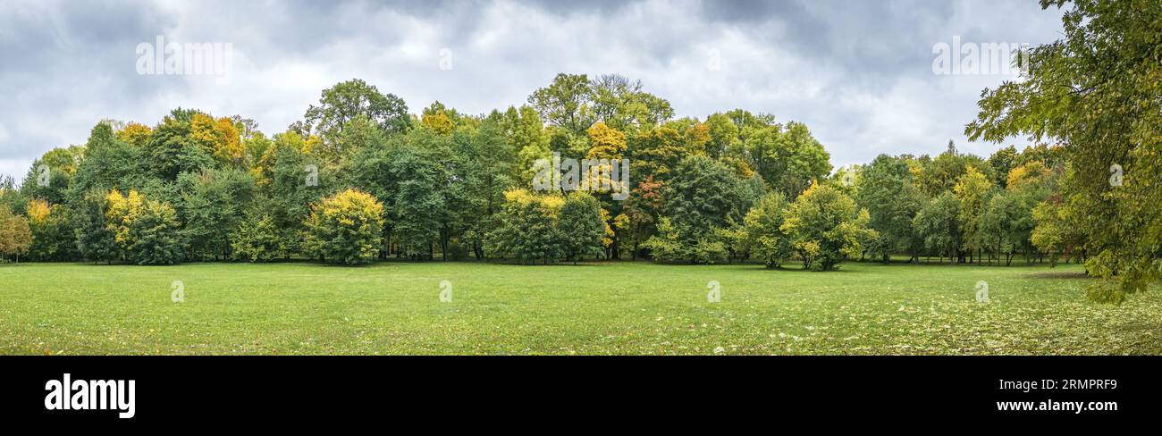 panorama colorato del parco autunnale su un suggestivo sfondo di cielo scuro. Foto Stock