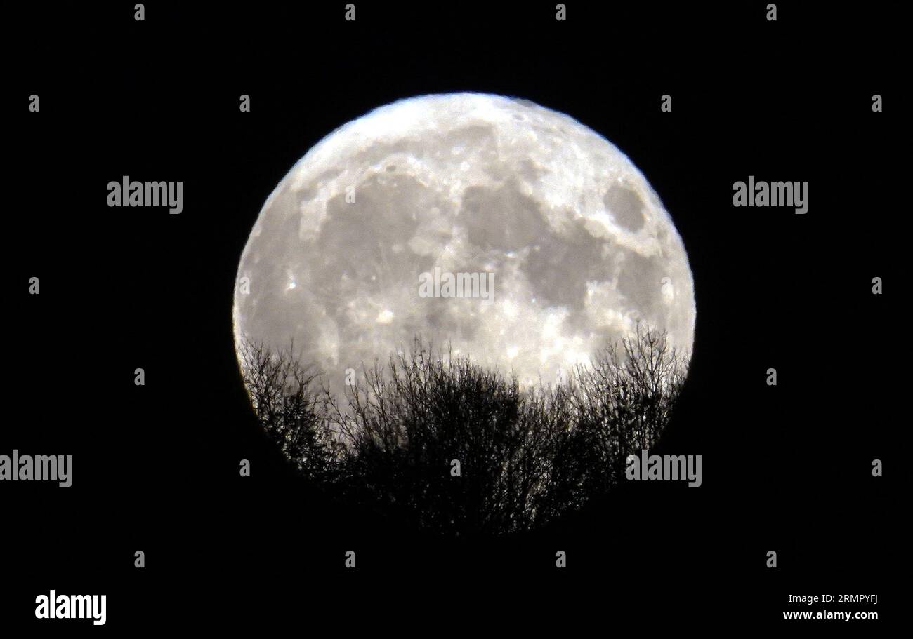 Foto datata 31/10/20 di una luna blu che sorge sopra il Penshaw Monument a Sunderland. Una rara luna super blu apparirà sul Regno Unito giovedì sera, trattando gli osservatori di stelle di un fenomeno che si verificherà solo una volta quest'anno. Foto Stock