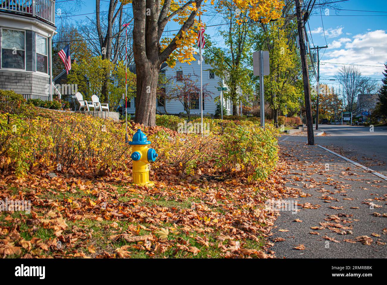 Iconico idrante americano dipinto in blu e giallo, di fronte a una vecchia casa tradizionale, all'angolo tra Elm St e Ocean Ave, Kennebunkport, ME. Foto Stock