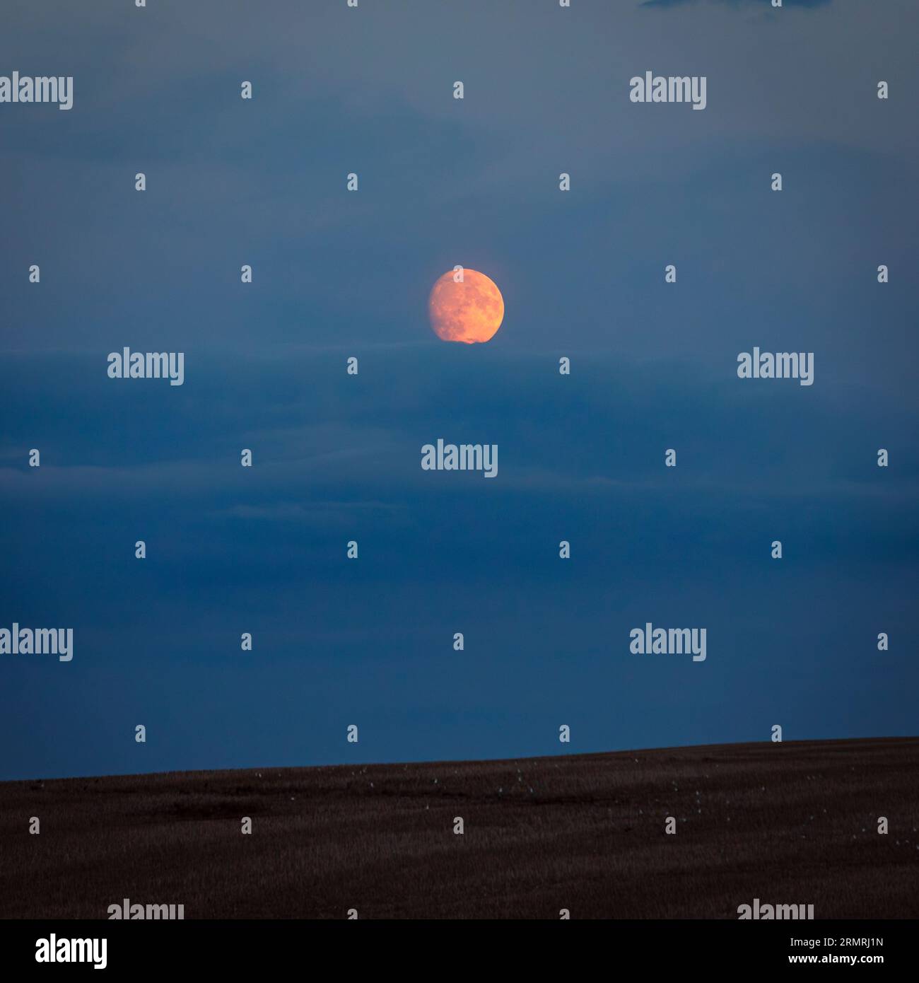 Quasi tutto agosto sorgono le onde lunari sopra la cresta di Kingston, a sud del Sussex, nel sud-est dell'Inghilterra, nel Regno Unito Foto Stock