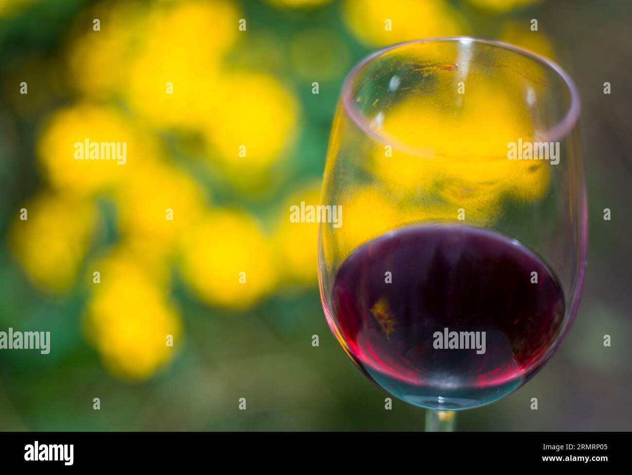 Un bicchiere di vino rosso, con lo sfondo giallo delle foglie autunnali Foto Stock