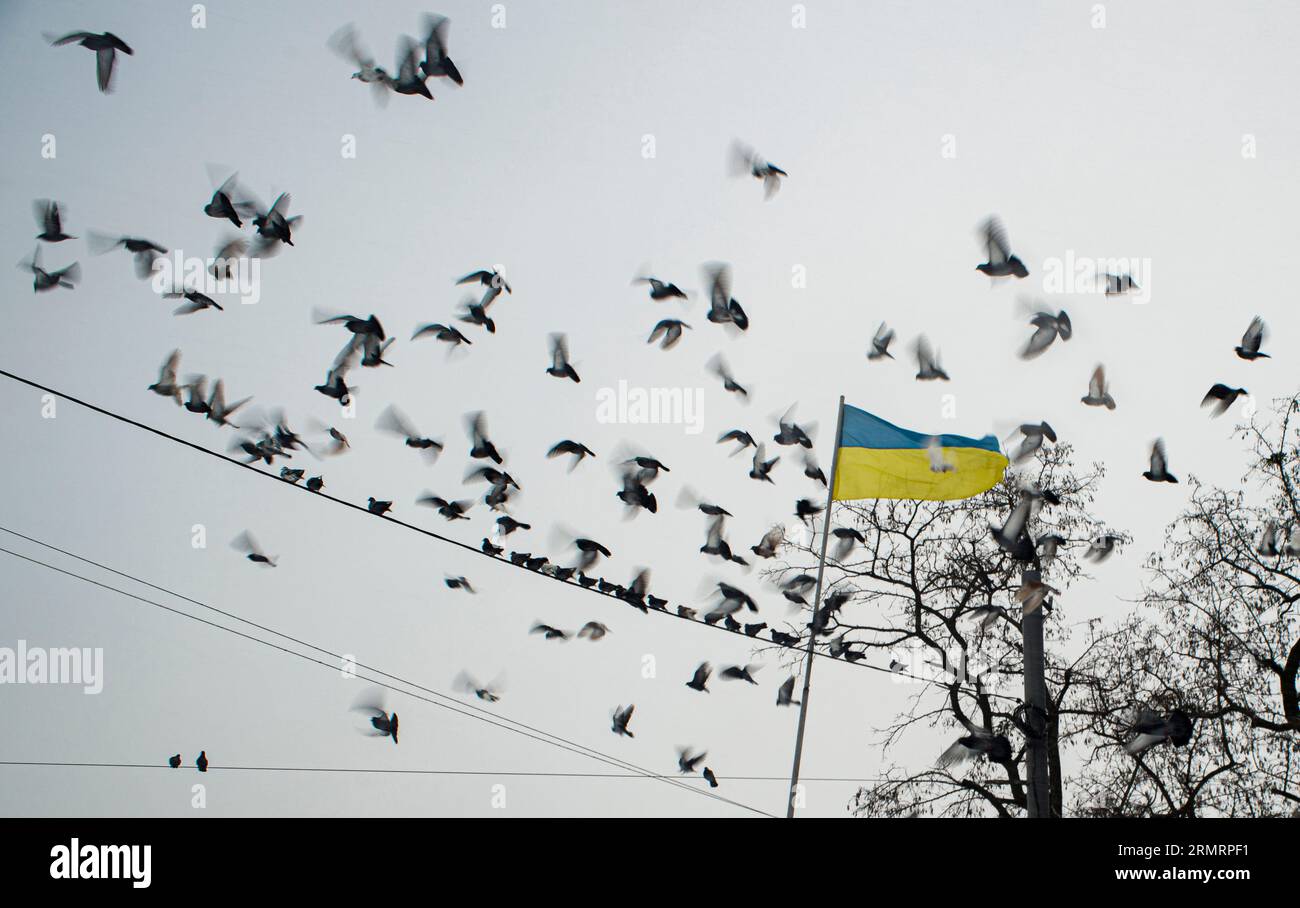 Una bandiera dell'Ucraina, nel gregge di piccioni Foto Stock