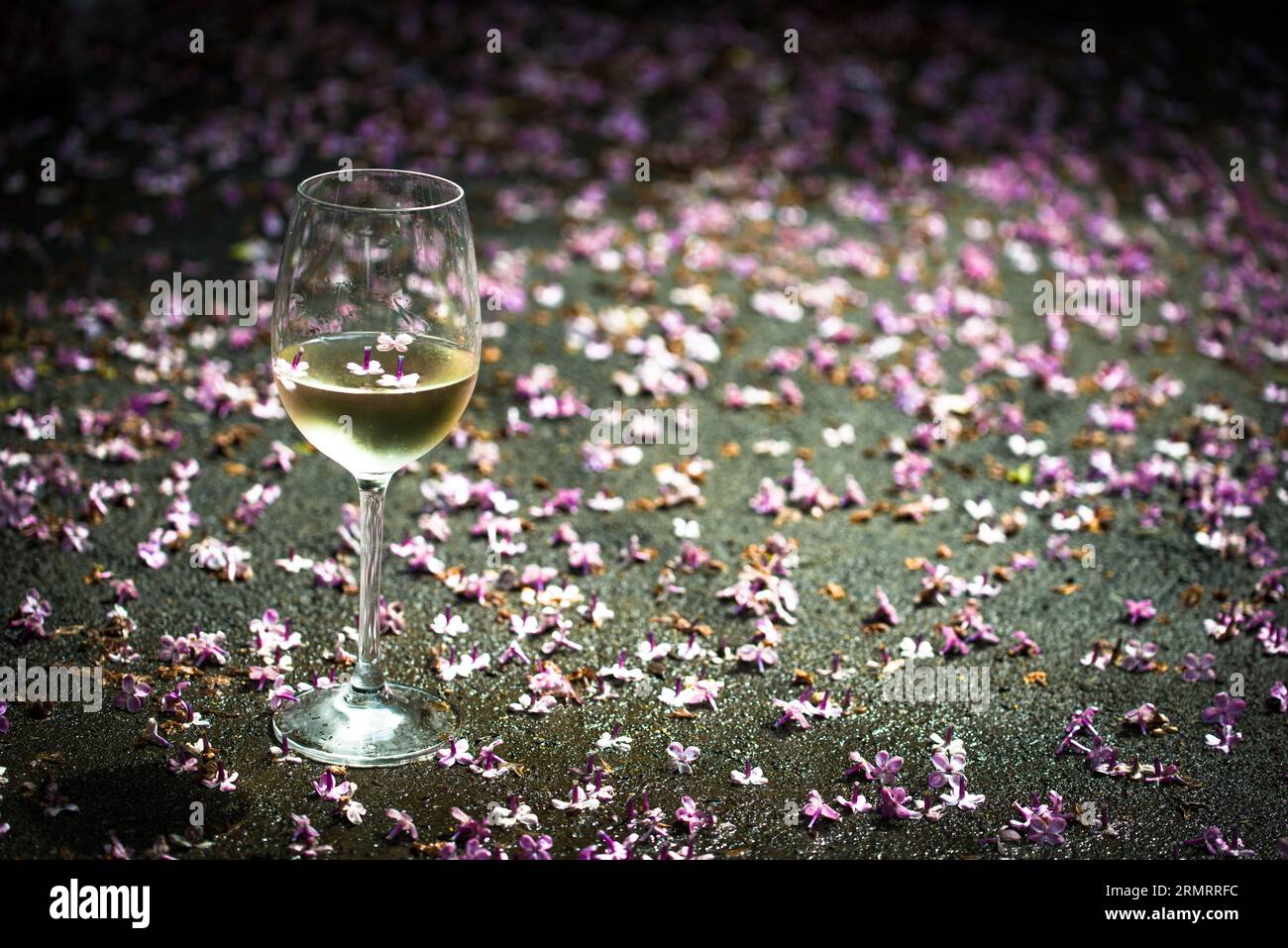 Un bicchiere di vino bianco, con fiori lilla caduti sullo sfondo Foto Stock