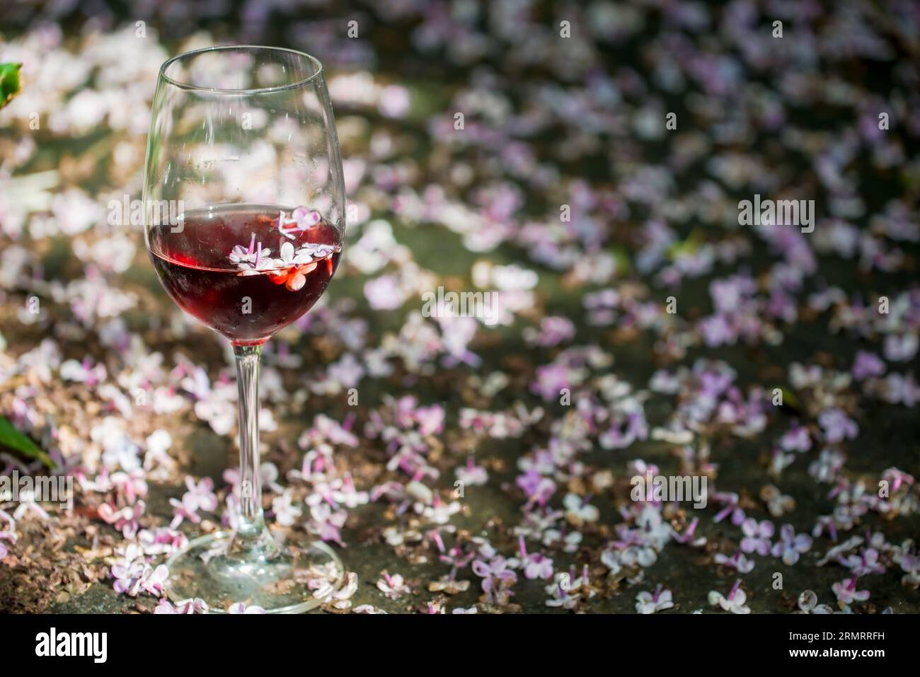 Un bicchiere di vino rosso con fiori lilla caduti sullo sfondo Foto Stock
