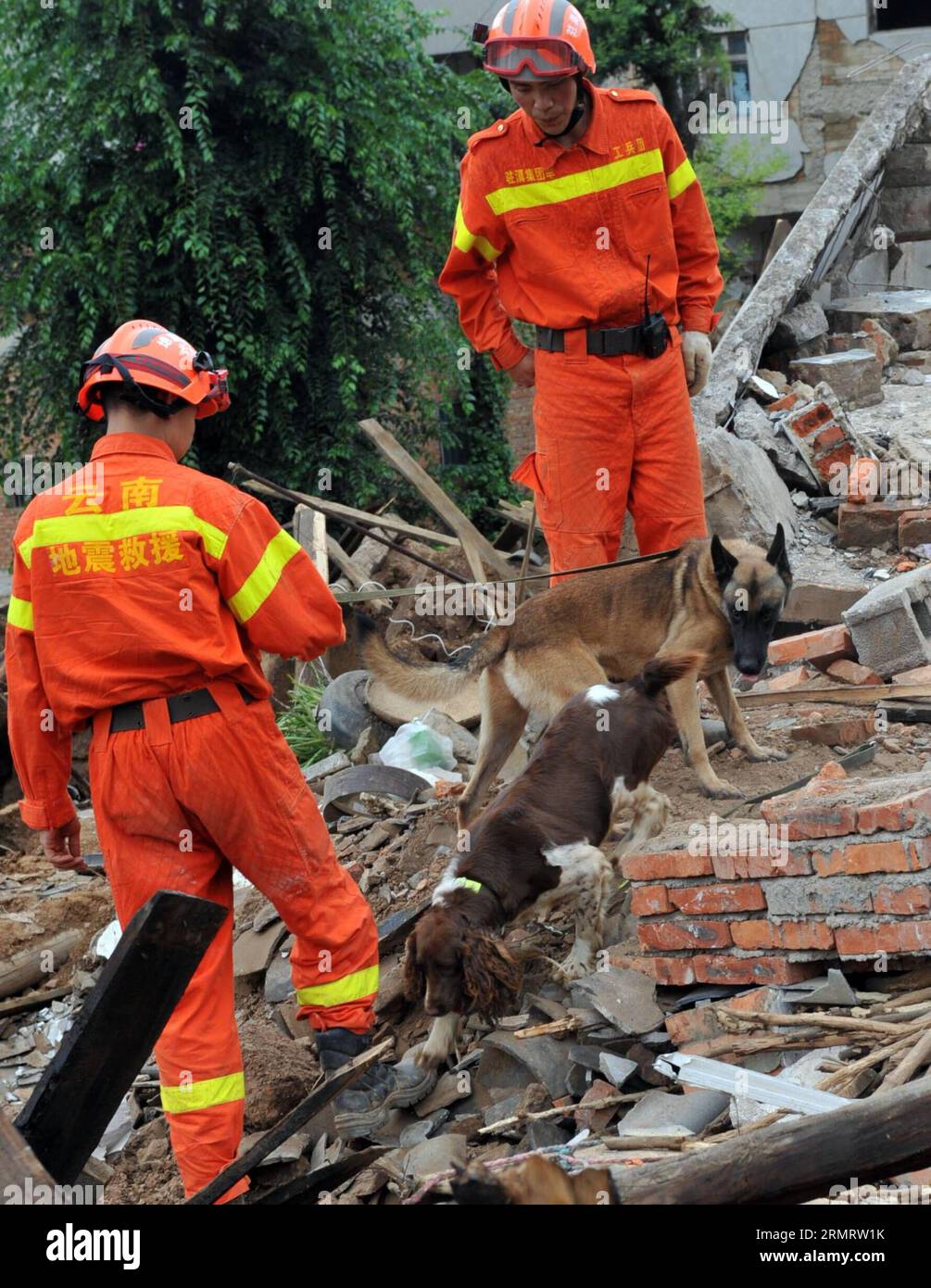 I soccorritori cercano sopravvissuti tra le rovine dopo un terremoto di magnitudo 6,5 colpì Longtoushan Town sotto Ludian County di Zhaotong, nella provincia dello Yunnan della Cina sud-occidentale, 4 agosto 2014. Longtoushan Town è l'epicentro del terremoto, che ha colpito alle 16:30 domenica (ora di Pechino) con una profondità di 12 km Alle 14:00 di lunedì, il terremoto ha ucciso 398 persone e ne ha feriti 1.801, colpendo più di un milione di altre a Zhaotong e Qujing. ) (lmm) CHINA-YUNNAN-LUDIAN-EARTHQUAKE-EPICENTER-RESCUE (CN) ChenxHaining PUBLICATIONxNOTxINxCHN Rescue Search for Survivors Among Ruins dopo una magnitudine di 6 5 Foto Stock