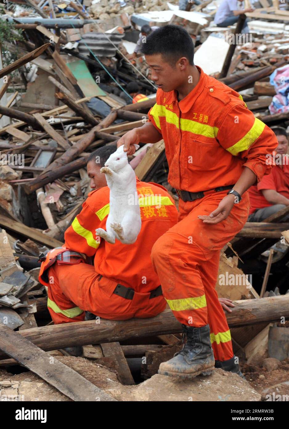 Un soccorritore trova un coniglio mentre cerca i sopravvissuti tra le rovine dopo che un terremoto di magnitudo 6,5 ha colpito Longtoushan Town sotto Ludian County di Zhaotong, nella provincia dello Yunnan della Cina sud-occidentale, 4 agosto 2014. Longtoushan Town è l'epicentro del terremoto, che ha colpito alle 16:30 domenica (ora di Pechino) con una profondità di 12 km Alle 14:00 di lunedì, il terremoto ha ucciso 398 persone e ne ha feriti 1.801, colpendo più di un milione di altre a Zhaotong e Qujing. ) (lmm) CHINA-YUNNAN-LUDIAN-EARTHQUAKE-EPICENTER-RESCUE (CN) ChenxHaining PUBLICATIONxNOTxINxCHN un soccorritore trova un coniglio durante la ricerca Foto Stock