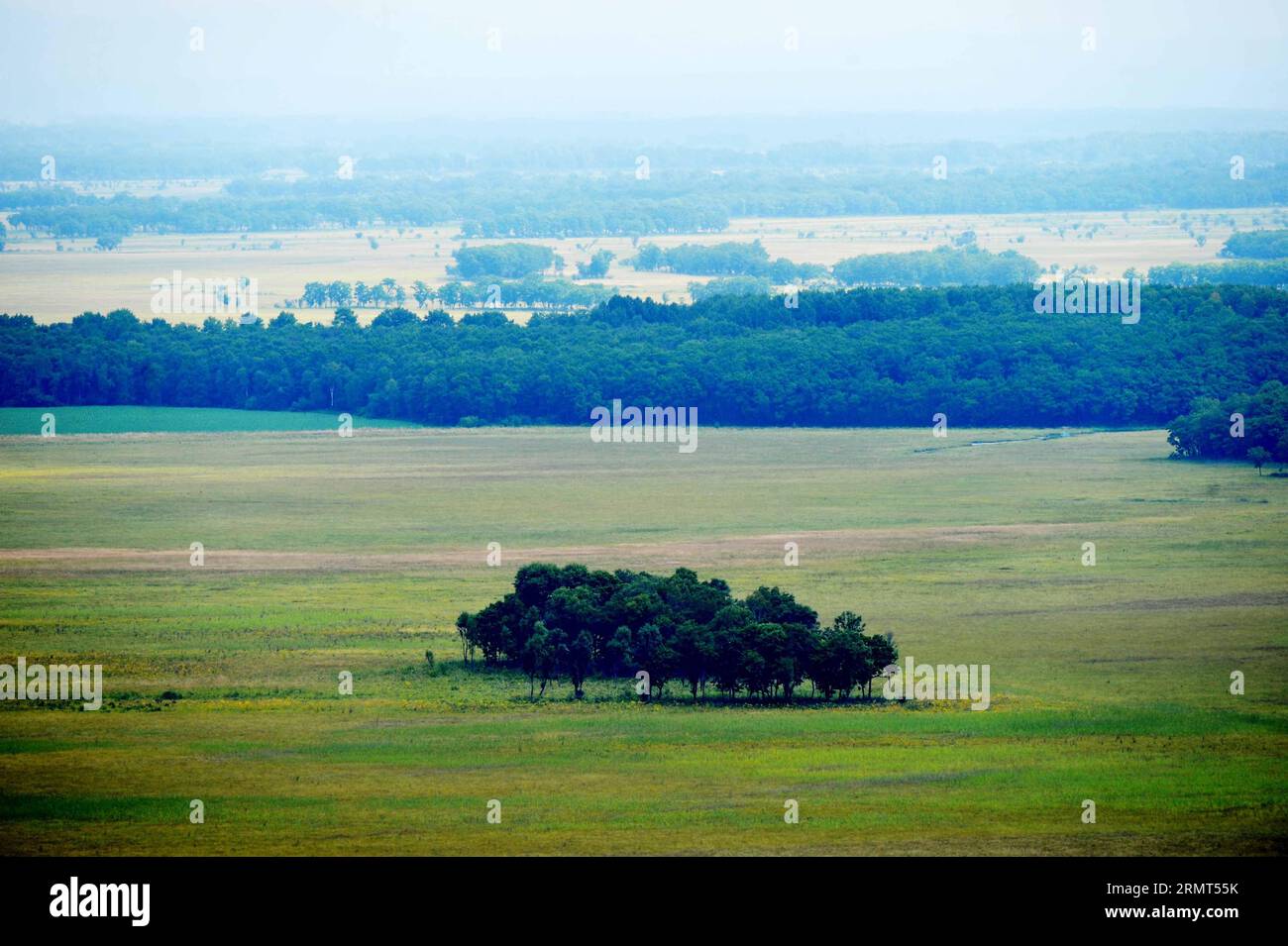 HULIN, 15 agosto 2014 -- foto scattata il 15 agosto 2014 mostra una foresta isolana nella zona umida dell'isola di Zhenbao a Hulin, nella provincia di Heilongjiang nella Cina nordorientale. L'isola di Zhenbao, che significa tesoro raro in cinese, ha una superficie umida di 29.275 ettari. La zona umida qui è stata designata come zona umida di importanza internazionale dalla Convenzione di Ramsar del 2011 ottobre per la sua importanza vitale come zona umida unica per la diversità biologica. (lfj) CHINA-HEILONGJIANG-HULIN-ZHENBAO ISLAND (CN) WangxJianwei PUBLICATIONxNOTxINxCHN 15 agosto 2014 foto scattate IL 15 agosto 2014 mostra all'Islanda come per lui Foto Stock