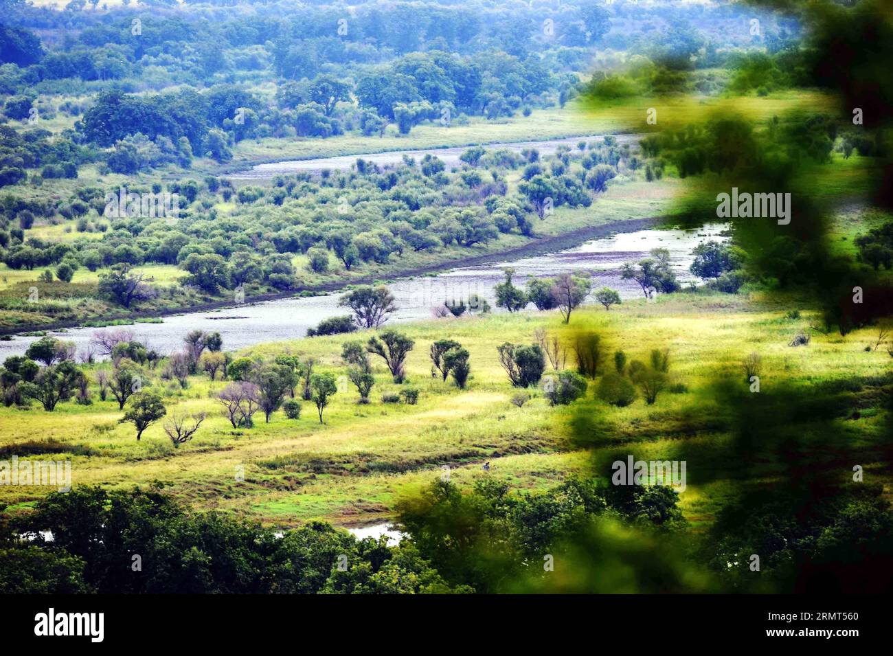 HULIN, 15 agosto 2014 -- foto scattata il 15 agosto 2014 mostra il paesaggio della zona umida sull'isola di Zhenbao a Hulin, nella provincia di Heilongjiang nella Cina nordorientale. L'isola di Zhenbao, che significa tesoro raro in cinese, ha una superficie umida di 29.275 ettari. La zona umida qui è stata designata come zona umida di importanza internazionale dalla Convenzione di Ramsar del 2011 ottobre per la sua importanza vitale come zona umida unica per la diversità biologica. (lfj) CHINA-HEILONGJIANG-HULIN-ZHENBAO ISLAND (CN) WangxJianwei PUBLICATIONxNOTxINxCHN 15 agosto 2014 la foto scattata IL 15 agosto 2014 mostra il paesaggio della zona umida SULLA Z Foto Stock