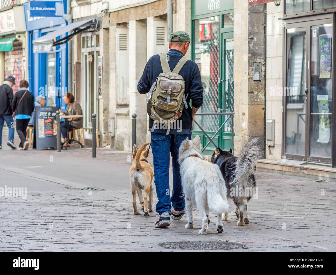 Uomo con tre cani che cammina lungo la strada acciottolata del centro città - Tours, Indre-et-Loire (37), Francia. Foto Stock