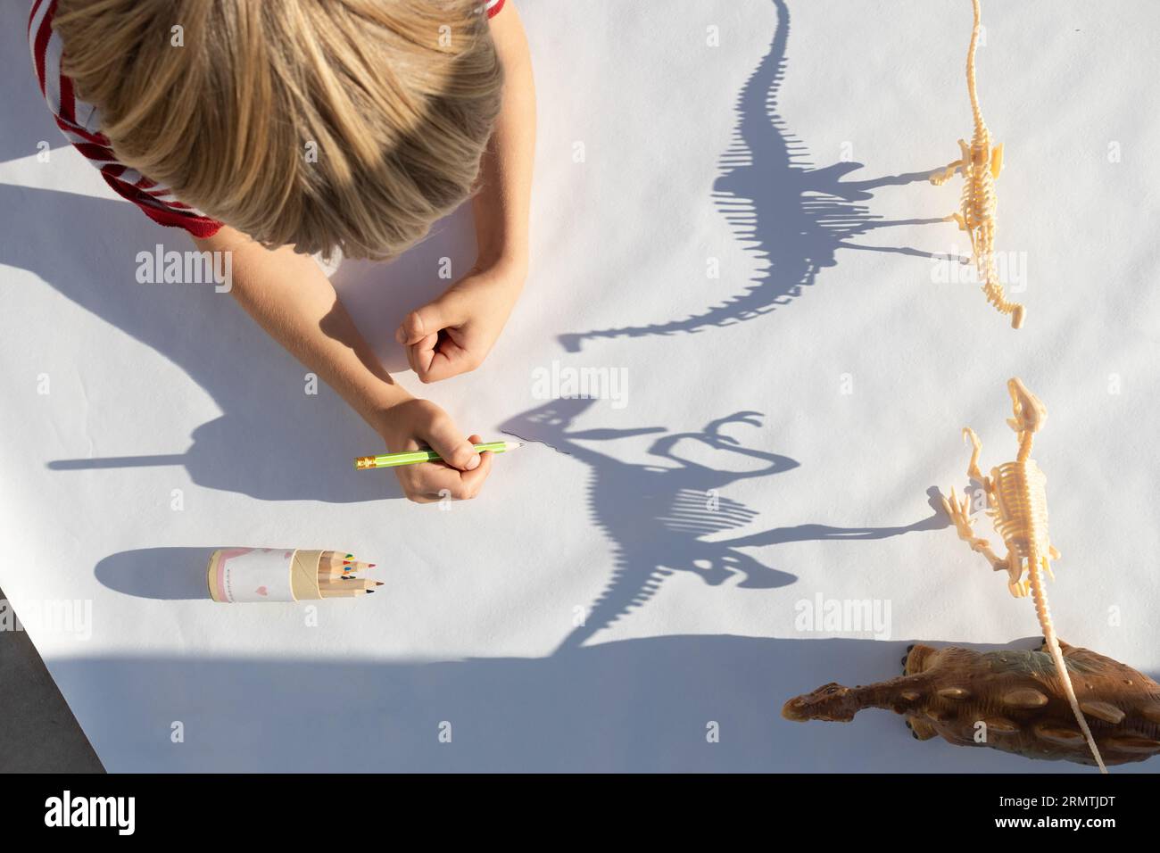 il bambino traccia con una matita le ombre contrastanti dagli scheletri dei dinosauri giocattolo. disegno di uno studente della scuola elementare, passione per la paleontologia, ide Foto Stock