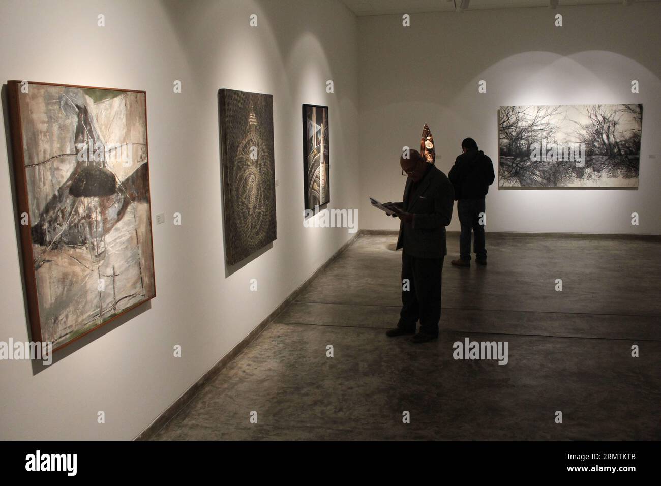 LIMA, 09 settembre 2014 -- i residenti visitano la mostra universi femminili , tenutasi nella Juan Pardo Heeren Gallery, dell'Istituto culturale peruviano nordamericano (ICPNA, per il suo acronimo in spagnolo), nella città di Lima, capitale del Perù, il 9 settembre 2014. La mostra universi femminili , è una mostra su dipinti e sculture di 39 artisti messicani, dove vengono mostrati diversi argomenti, tecniche e concetti, trovando un'unità in una prospettiva sull'identità e il genere. La mostra si tiene nella Galleria Juan Pardo Heeren dell'ICPNA di Lima, fino al 5 ottobre 2014. Luis Camacho) (rt) PERÙ-LIMA-CULTURE-ex Foto Stock