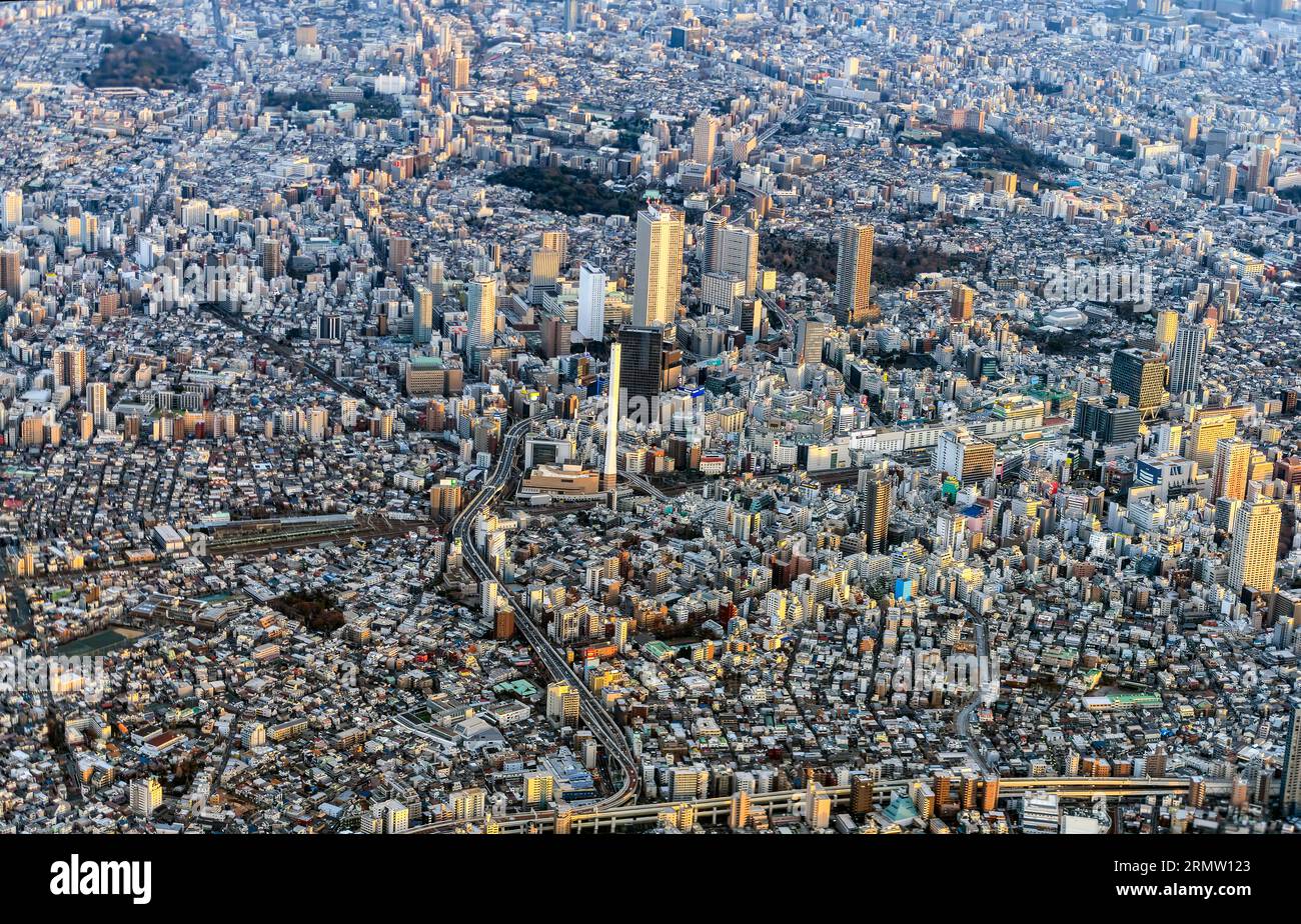 Metropoli di Tokyo. Vista aerea 2023. Foto Stock