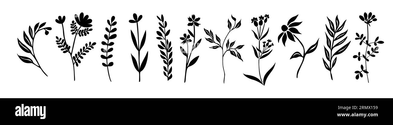 Set di piccole silhouette di fiori selvatici e piante. Illustrazione Vettoriale