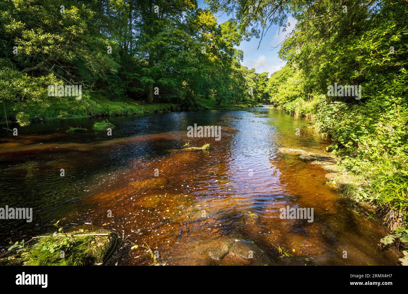 River Coquet vicino ad Harbottle, Northumberland Foto Stock