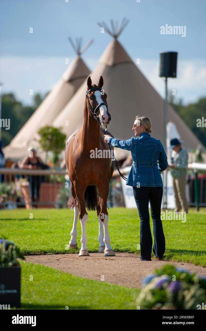 Stamford, Regno Unito. 30 agosto 2023. Zara Tindall e Class Affair rappresentarono la Gran Bretagna durante la prima ispezione a cavallo ai Defender Burghley Horse Trials del 2023 tenutosi nei terreni di Burghley House a Stamford, Lincolnshire, Inghilterra, Regno Unito. Crediti: Jonathan Clarke/Alamy Live News Foto Stock