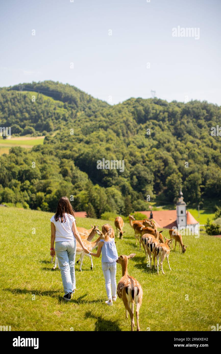 Due graziose bambine che camminano tra le mandrie di renne nella giornata di sole Foto Stock