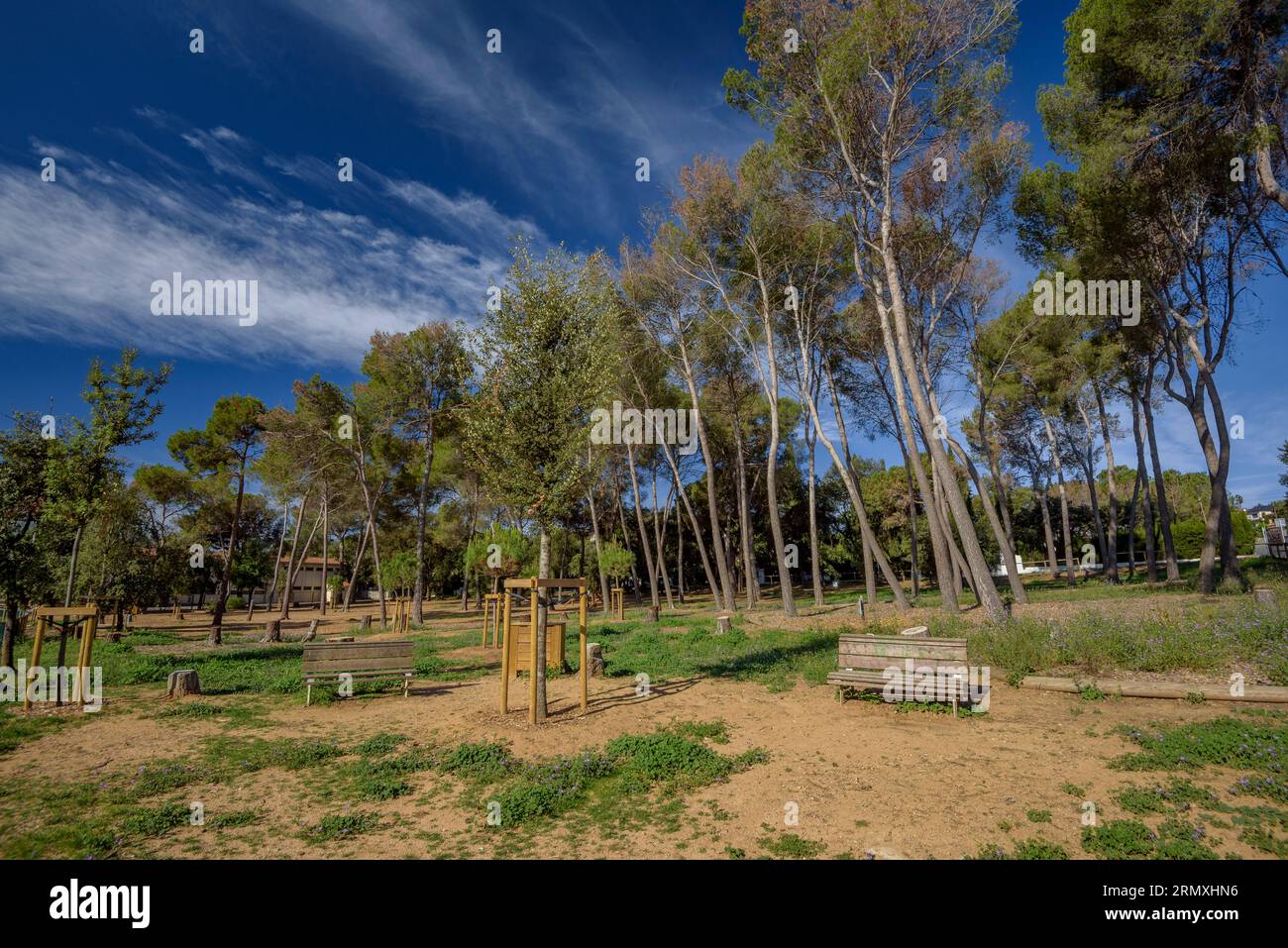 Parco del boschetto della scuola Roncaana (Vallès Oriental, Barcellona, Catalogna, Spagna) ESP: Parque del bosquecillo de la escuela Roncaana (España) Foto Stock