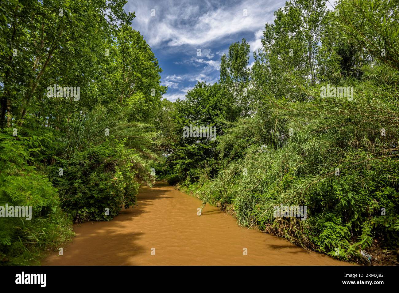 Dintorni del fiume Tenes che attraversa Santa Eulàlia de Roncaana in primavera (Vallès Oriental, Barcellona, Catalogna, Spagna) Foto Stock